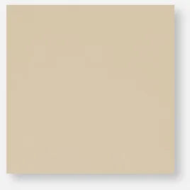 15x15 Bone