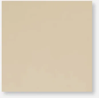 20x20 Bone